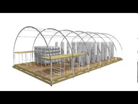 mantar tohumu satışı